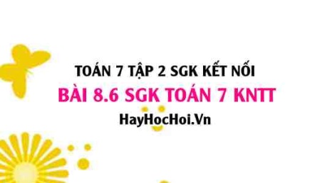 Bài 8.6 SGK Toán 7 Tập 2 Kết nối tri thức